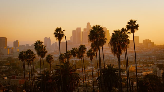 Timeleft Los Angeles: Honest Review + Alternatives (2026)